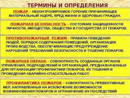 Изображение WhatsApp 2024-12-06 в 14.39.52_fc02bd2b.jpg